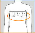 измерение окружности грудной клетки